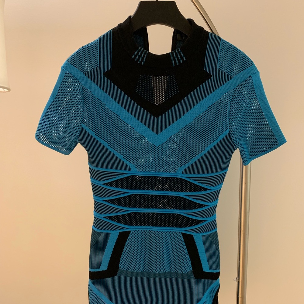 Alexander wang dress